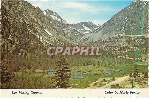 Cartes postales moderne Lee Virgin Canyon
