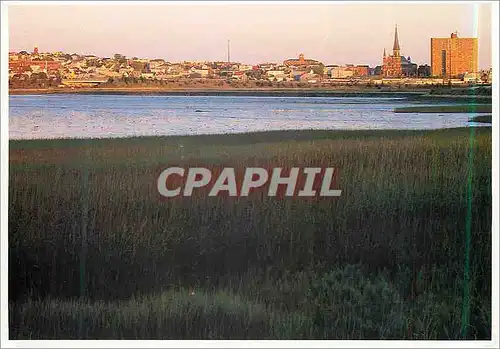 Cartes postales moderne Portland's Back Bay