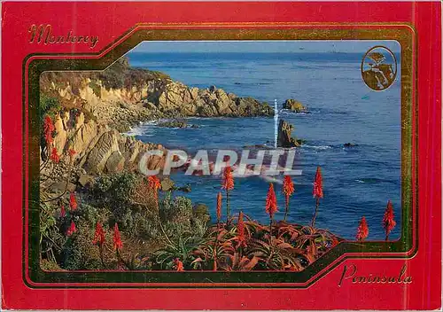 Cartes postales moderne Monterey Coast