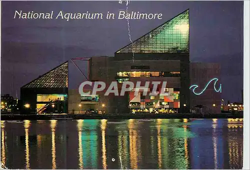 Cartes postales moderne National Aquarium in Baltimore Maryland