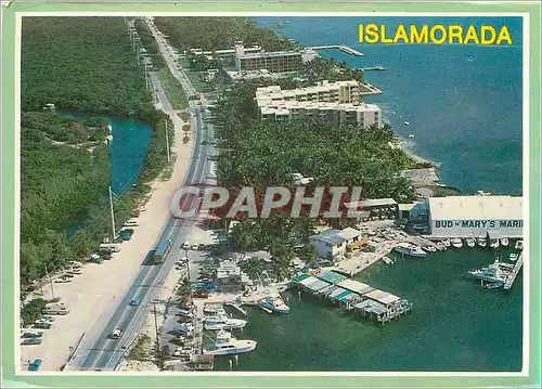 Cartes postales moderne Islamorada in the Fabulous Florida Keys