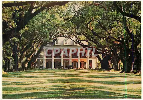 Cartes postales moderne Oak Alley Vacherie Louisiana