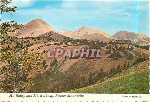 Cartes postales moderne Mt Baldy and Mt Belknap Beaver Mountains