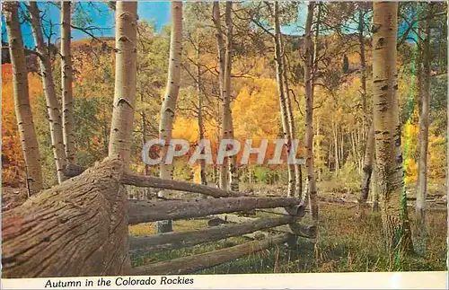 Cartes postales moderne Autumn in the Colorado Rockies