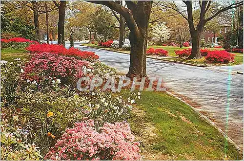 Moderne Karte South Carolina in The Spring
