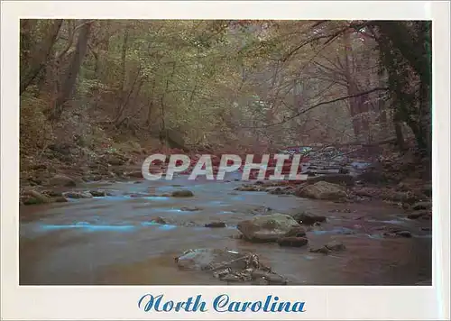Cartes postales moderne North Carolina