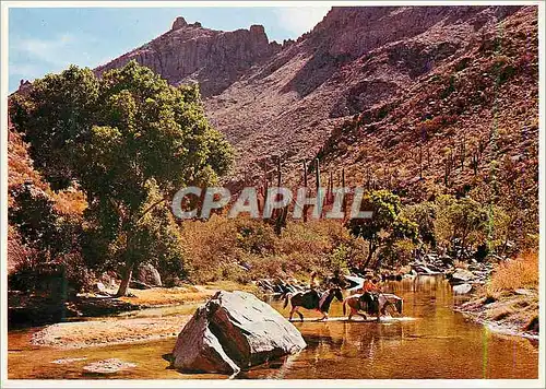 Cartes postales moderne Sabino Canyon Tucson Arizona