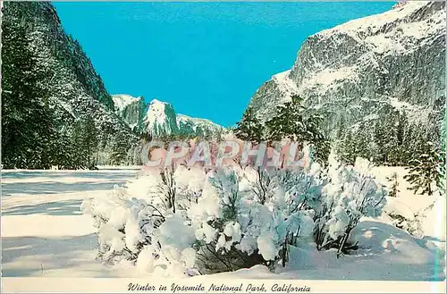 Cartes postales moderne Winter in Yosemite National Park California