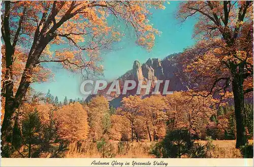 Cartes postales moderne Autumn Glory in Yosemite Valley California