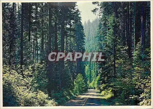 Moderne Karte Pacific Northwest The Fir lined Highways of Washington