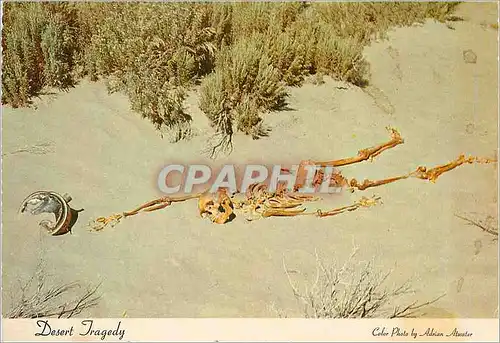 Moderne Karte Desert Tragedy Nevada