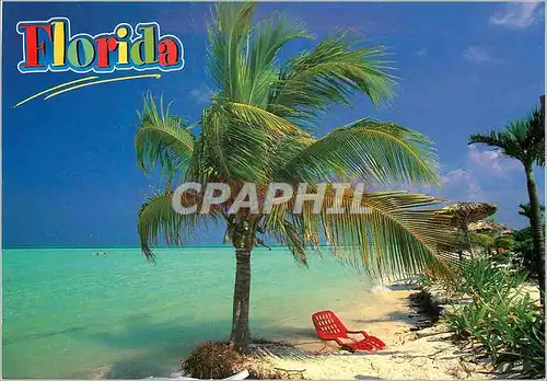 Cartes postales moderne Florida The Breathtaking Sight