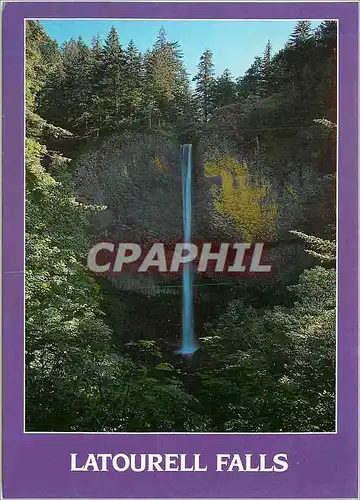 Cartes postales moderne Latourell Falls is One of the Beautiful falls Found the Scenic Colombia River Gorge Oregon
