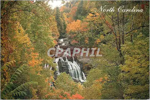 Cartes postales moderne North Carolina in the Nantahala National Forest