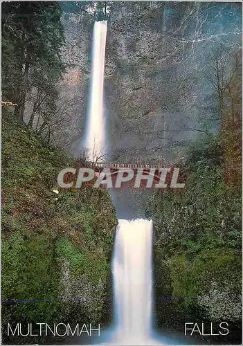 Cartes postales moderne Multnomah Falls Oregon