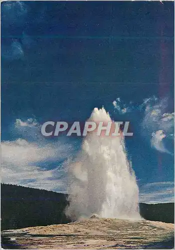 Cartes postales moderne Old Faithful Geyser Upper Basin Yellowstone National Park