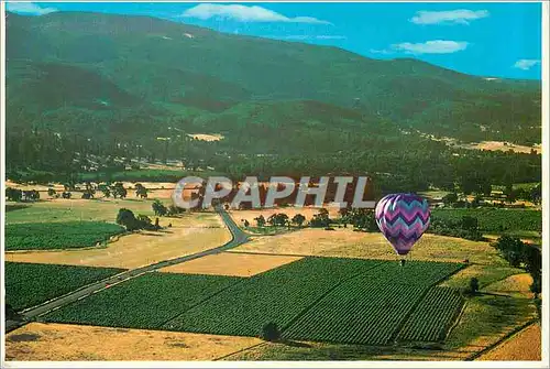 Cartes postales moderne Sonoma Vineyard