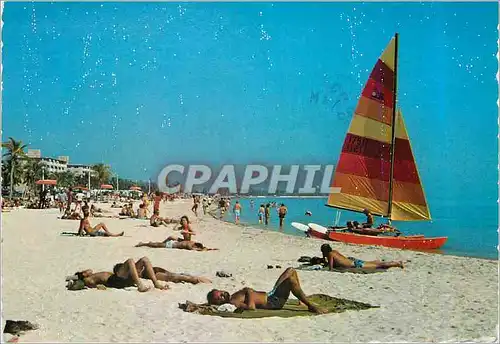 Cartes postales moderne Key West Beaches
