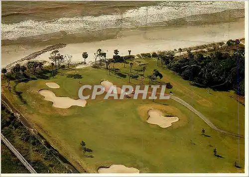 Cartes postales moderne Palmetto Dunes Resort Golf