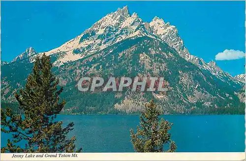 Cartes postales moderne Jenny Lake and Grand Telon Mt