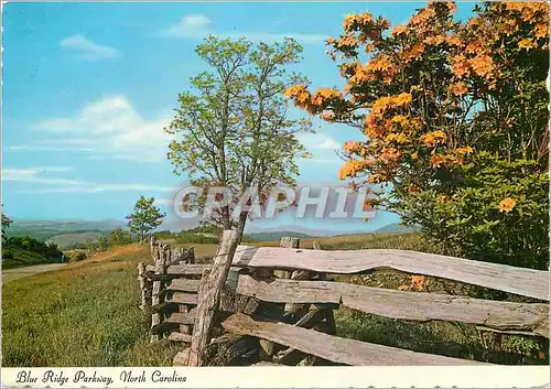 Cartes postales moderne Blue Ridge Parkway North Carolina