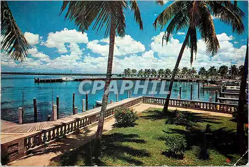 Moderne Karte Swaying Palms Beside the Beautiful Blue Water in Florida