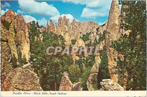 Cartes postales moderne Needles Drive Black Hills South Dakota