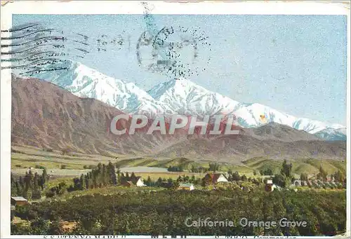 Cartes postales California Orange Grove