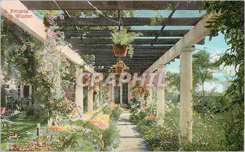 Cartes postales A Pergola in Winter