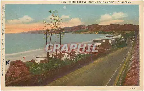 Cartes postales Along the Palisades at Santa MOnica California