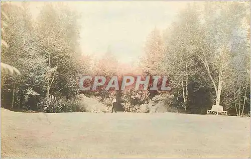 Cartes postales Foret Etats-Unis