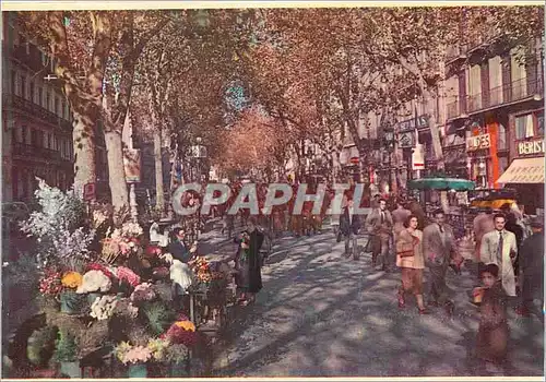 Cartes postales moderne Barcelona La Rambla de Fleurs