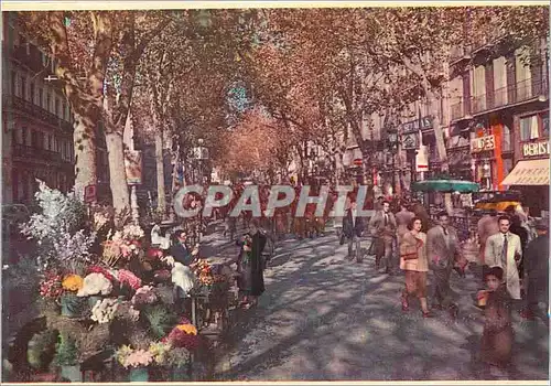 Moderne Karte Barcelona La Rambla de Fleurs