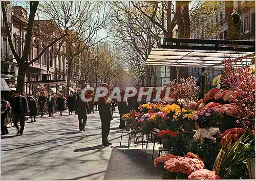 Moderne Karte Barcelona Rambla des Fleurs