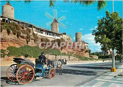 Cartes postales moderne Mallorca Espana Ane Donkey Moulin