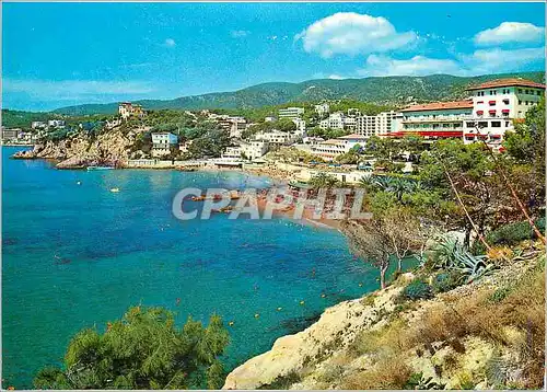 Cartes postales moderne Mallorca (Baleares) Espana Palma