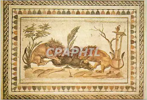 Cartes postales moderne Tunisie Mosaique Romaine (Musee d'El Jem)