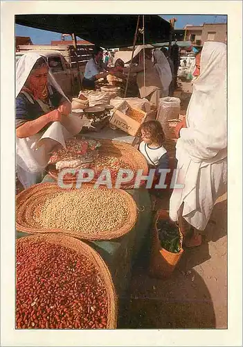 Cartes postales moderne Marche de Nabeul