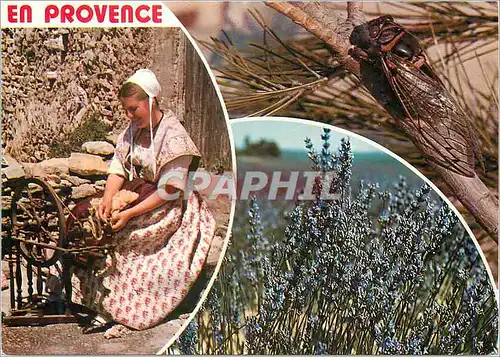 Cartes postales moderne En Provence Folklore