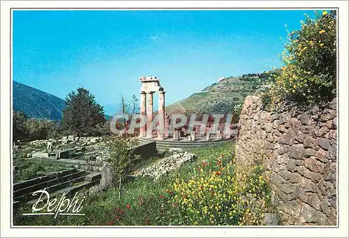 Cartes postales moderne Delph Helas Grece