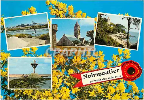 Cartes postales moderne La Vendee Pittoresque Ile de Noirmoutier Vue de l'Ile des Mimosas
