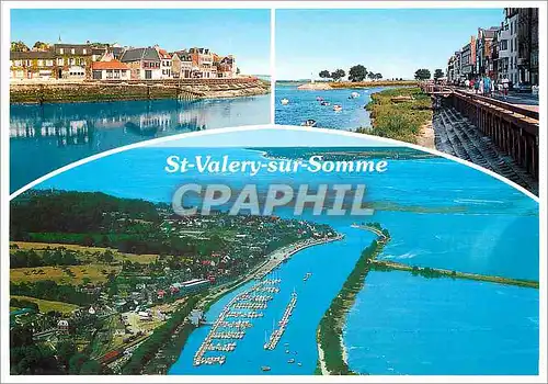 Cartes postales moderne St Valery sur Somme La Cote d'Opale