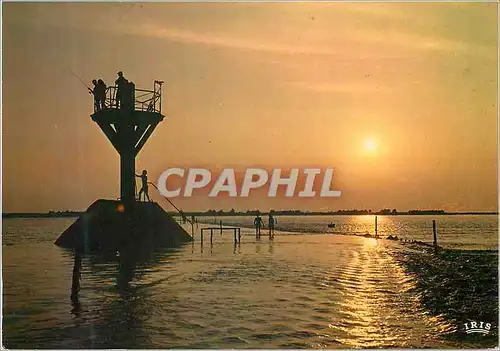 Cartes postales moderne Ile de Noirmoutier Coucher de Soleil Sur le Passage du Gois