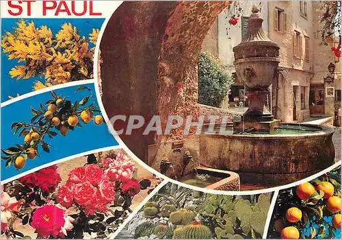 Cartes postales moderne Cote d'Azur French River Saint Paul La Fontaine Provencale