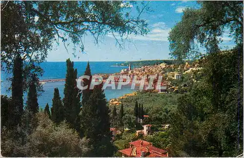 Cartes postales moderne Les Cites Merveilleux de la Cote d'Azur Menton (A M)Vue Generale Prise a Travers les Oliviers