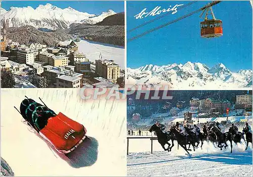 Cartes postales moderne St Moritz 1850m Bobsleigh Chevaux