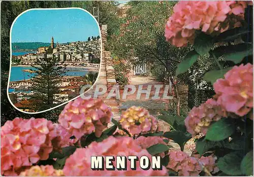 Cartes postales moderne Menton Cote d'Azur