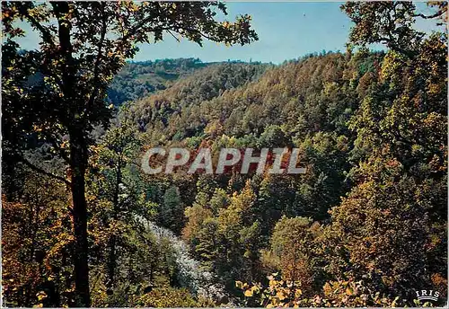Cartes postales moderne Le Cantal Pittoresque les Gorges de la Cere en Automne