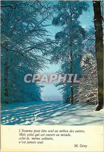 Cartes postales moderne L'Homme peut Etre Seul au Milieu des Autres M gray