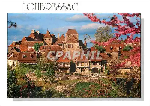 Cartes postales moderne Loubressac